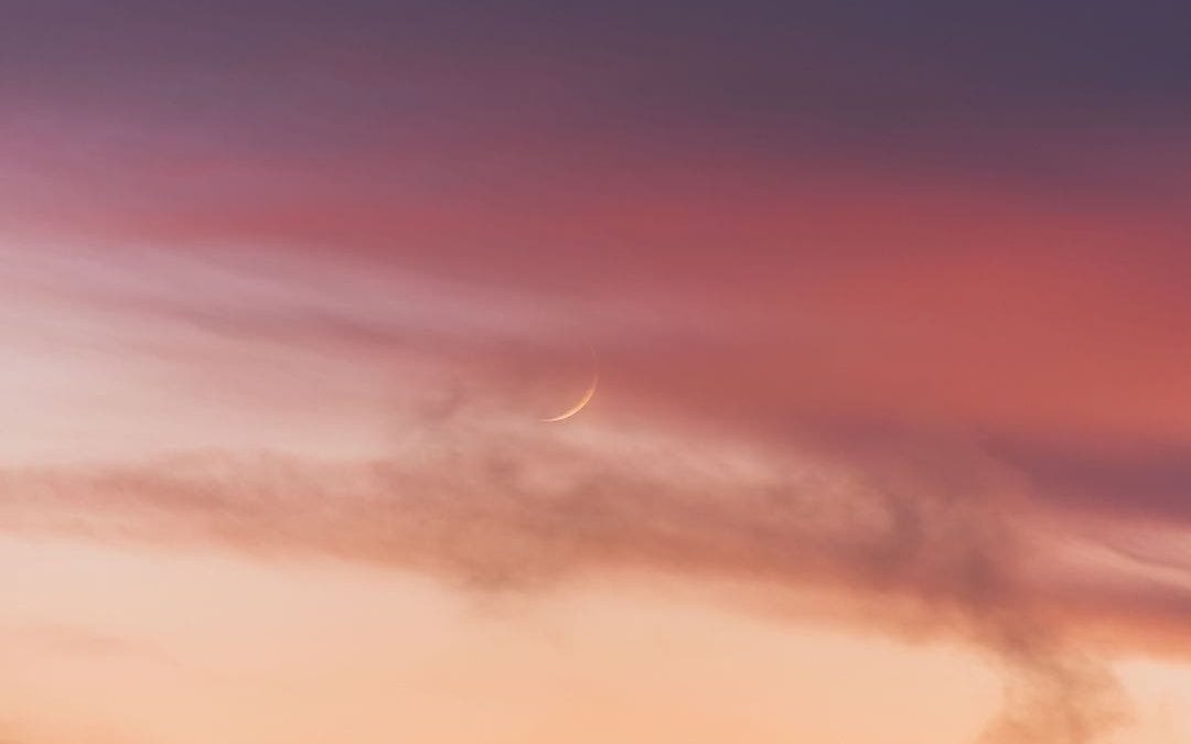 LUNA NUEVA EN LEO