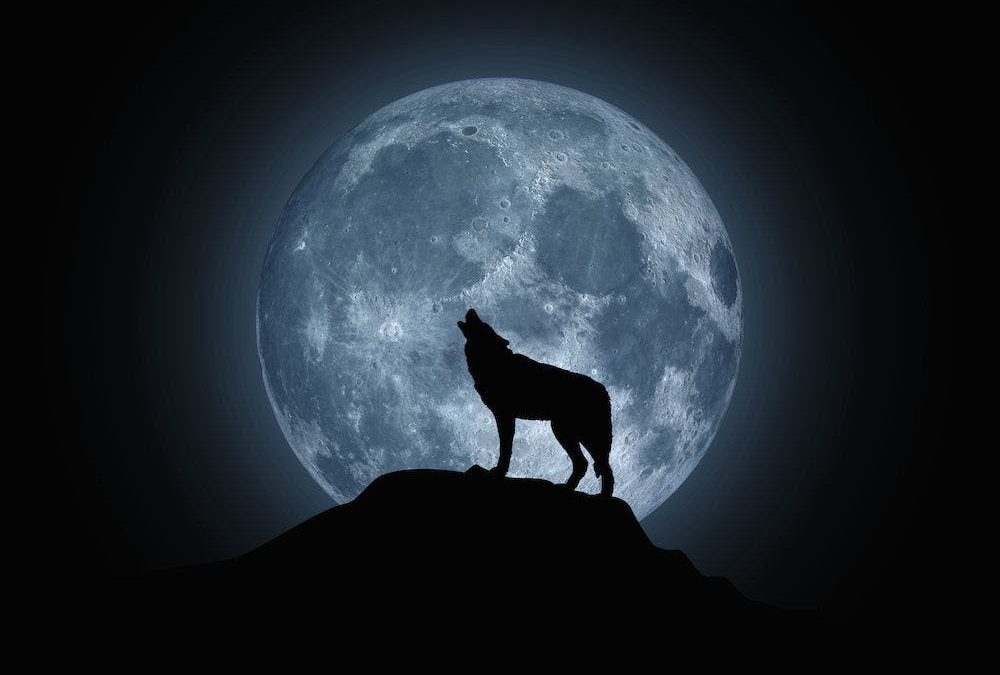 4 SIGNOS MÁS AFECTADOS POR LA LUNA LLENA DE ENERO