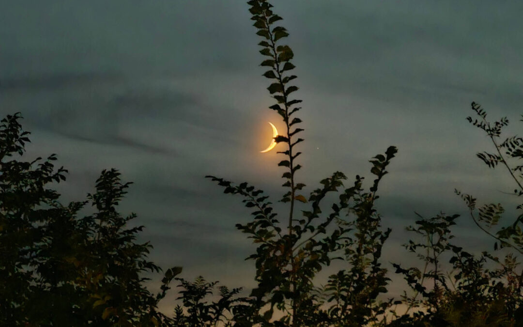 LOS NUEVOS COMIENZOS QUE TRAE LA LUNA NUEVA DEL 1 DE NOVIEMBRE SEGÚN TU SIGNO
