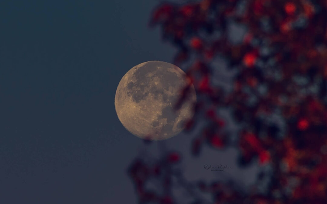 LUNA LLENA EN TAURO NOVIEMBRE 2024: ASÍ RECUPERARÁS LA SEGURIDAD SEGÚN TU SIGNO