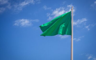 LAS GREEN FLAGS MÁS SUTILES DE CADA SIGNO (ESAS QUE TE DICEN QUE SÍ VALE LA PENA)