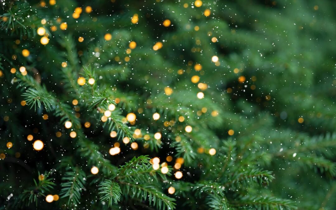HORÓSCOPO NEGRO DE NAVIDAD 2025 PARA LOS SIGNOS
