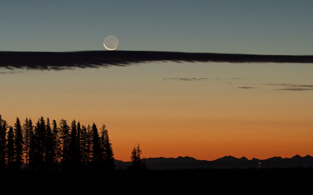 LOS 6 SIGNOS QUE SE VAN A RECARGAR DE GOOD VIBES CON LA LUNA NUEVA DE DICIEMBRE