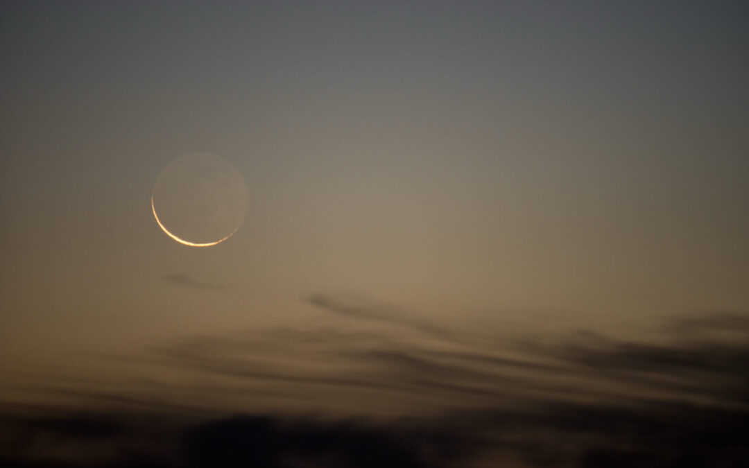 POR QUÉ ES TAN IMPORTANTE LA LUNA NUEVA EN SAGITARIO DEL 19 DE DICIEMBRE PARA CADA SIGNO