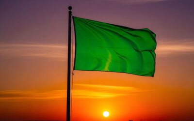 SI LOS SIGNOS DEL ZODIACO FUERAN UNA GREEN FLAG SERÍAN ESTA