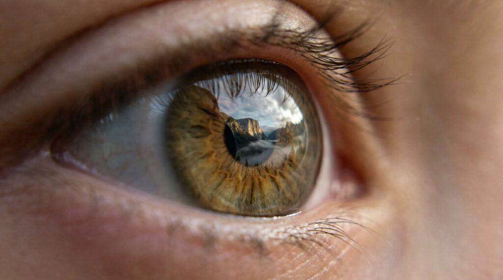 Ojos avellana