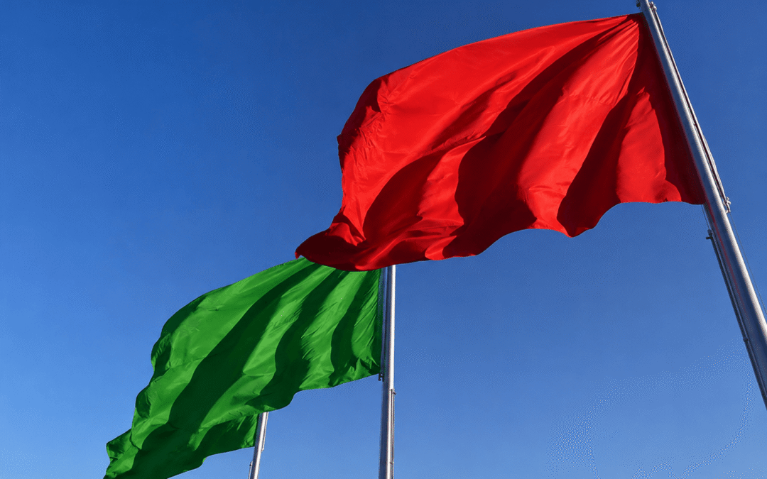 Las red flags vs las green flags de Capricornio