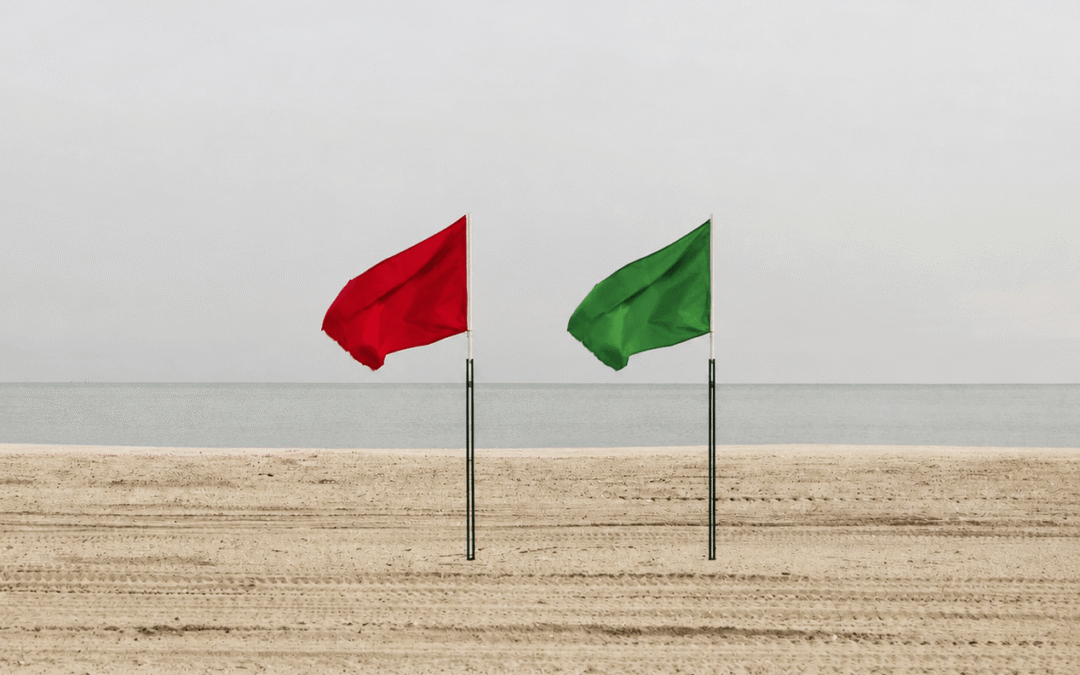 Las red flags vs las green flags de Leo
