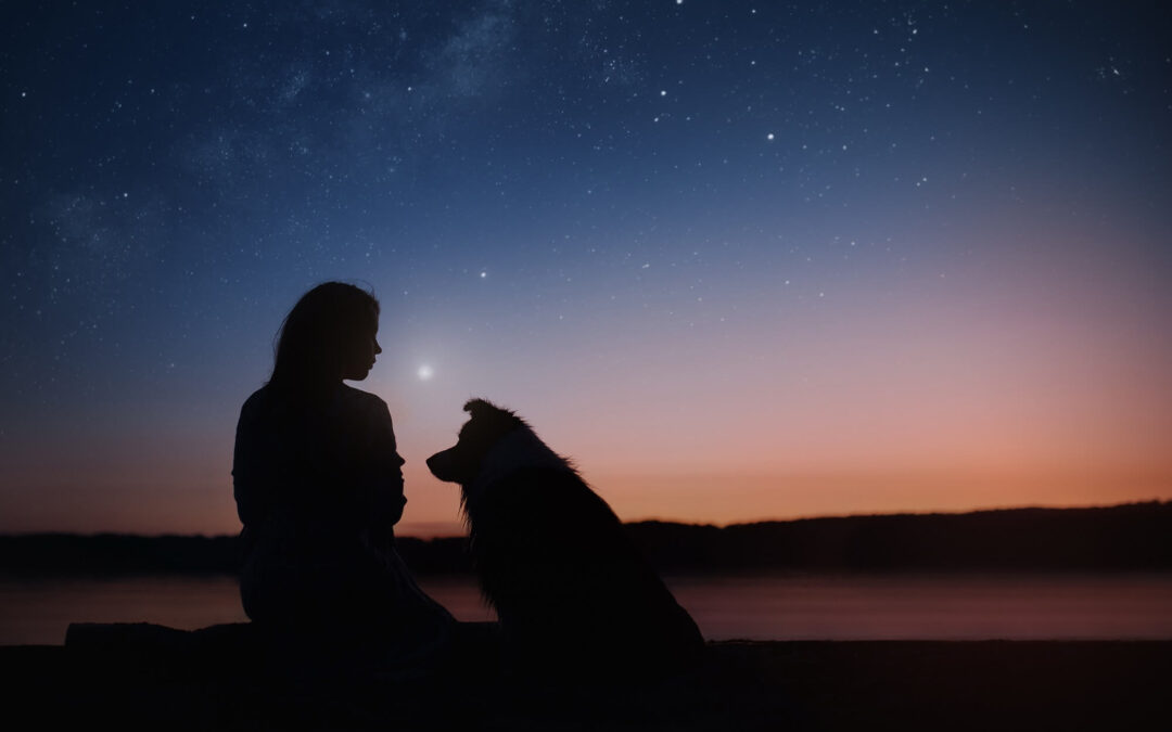 Los signos que van a empezar una nueva vida emocional con la Luna Nueva en Tauro