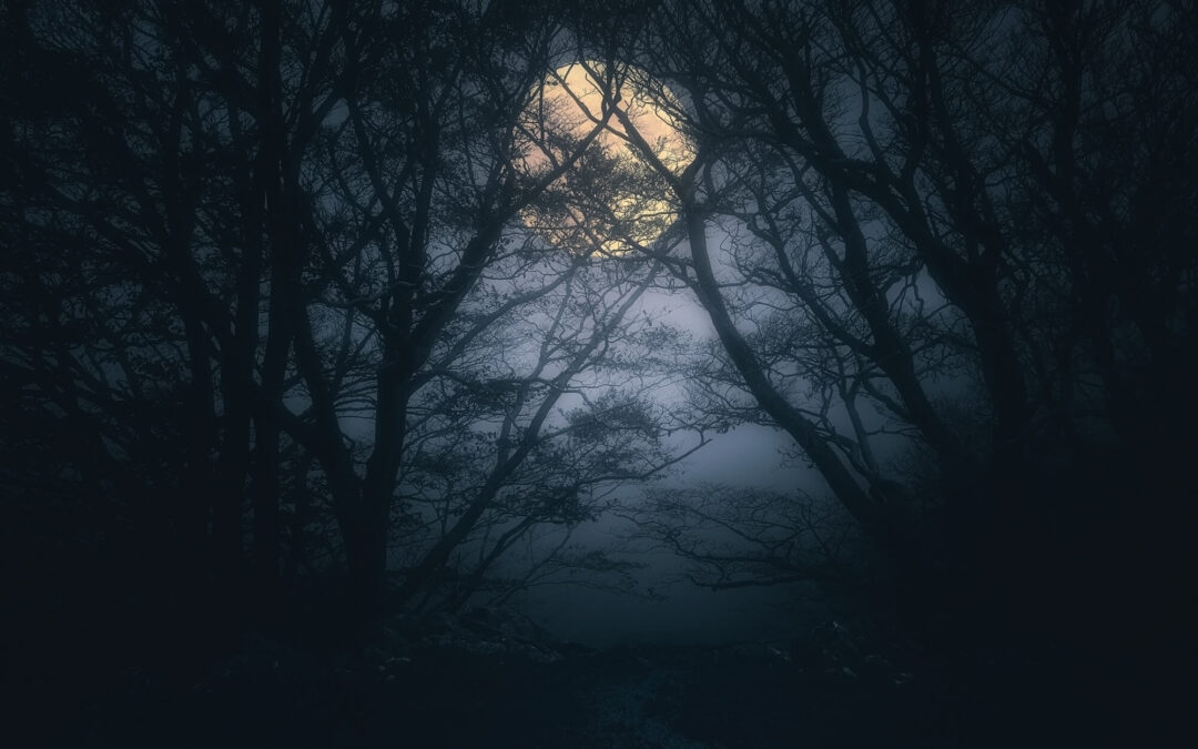 Tirada del tarot de la Luna Llena del 31 de mayo para cada signo