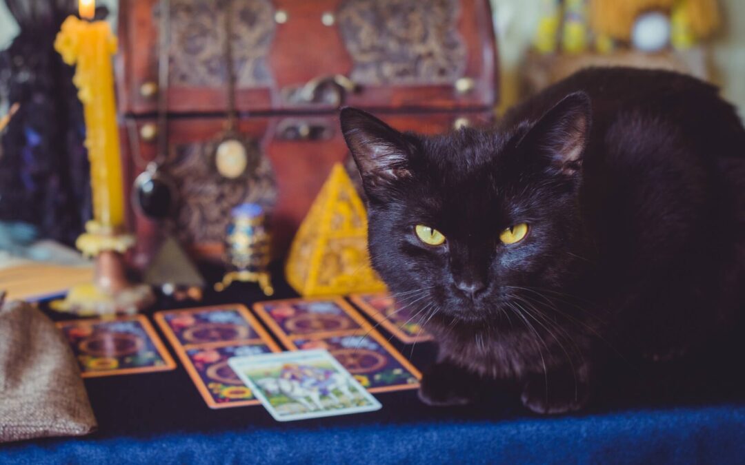 Tu signo + tu carta del tarot para el fin de semana del 15 y 16 de agosto
